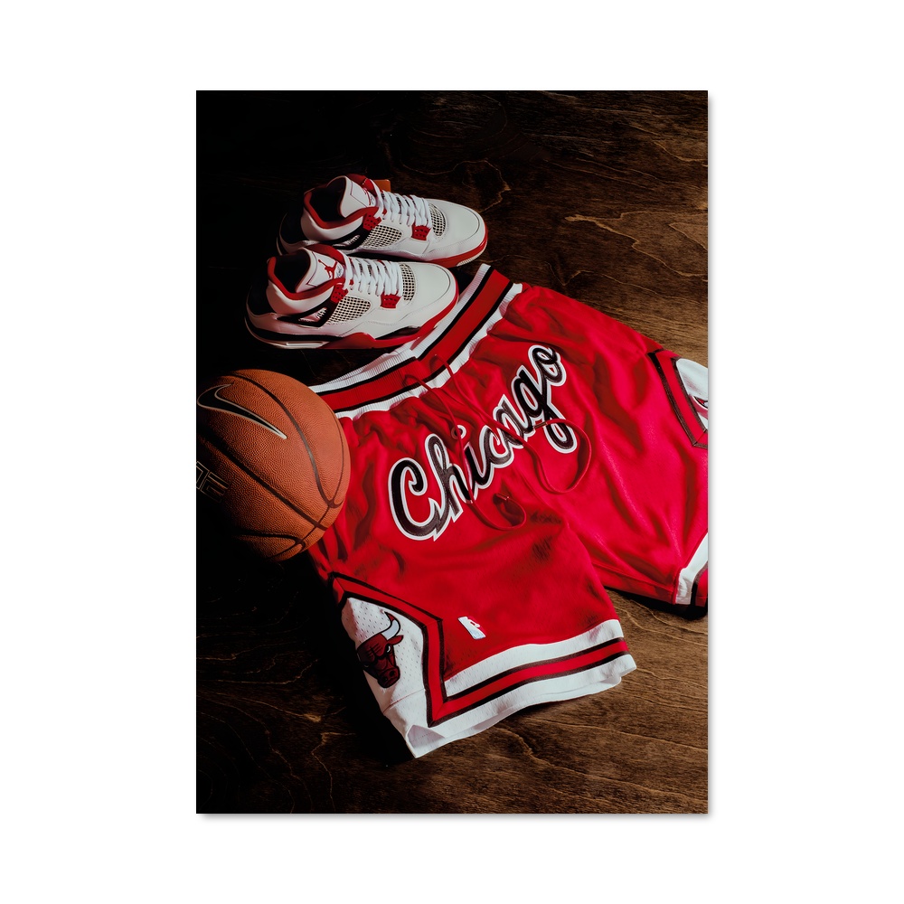 Poster Bulls & Kicks